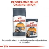 Pate Humide Pour Chat Intense Beauty 85g Maroc