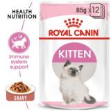 Pate Humide Pour Chat Kitten 85g Maroc