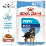 Pate Pour Chien Maxi Puppy 140g Maroc