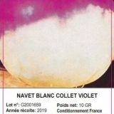 SACHET NAVET BLANC VIOLET 10 GRAMMES MAROC