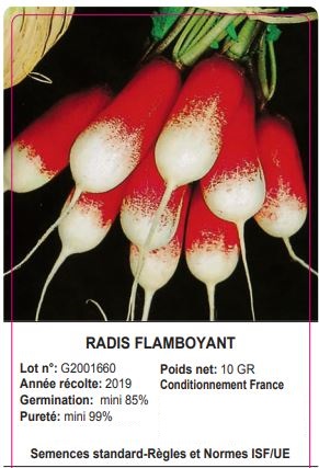 Sachet radis flamboyant Maroc, Sachet radis flamboyant Casablanca,Sachet radis flamboyant Rabat,Sachet radis flamboyant Tanger,Sachet radis flamboyant Tétouan,Sachet radis flamboyant Agadir,Sachet radis flamboyant Fès,Sachet radis flamboyant Marrakech,Plantation Maroc, Engrais Gazon longue durée Maroc, tuteur écorcé épointé Maroc, Gazon rustique Dalmau Maroc, Bâtonnets géranium plante fleuries Maroc, Bâtonnet plantes d’appartement et orchidées Maroc, engrais spray orchidées Maroc, engrais orchidées et plantes exotiques Maroc, engrais géraniums et plantes fleuries Maroc, engrais foliaire plantes vertes Maroc, engrais foliaire cactées succulentes Maroc, Plantation Casablanca, Engrais Gazon longue durée Casablanca, tuteur écorcé épointé Casablanca, Gazon rustique Dalmau Casablanca, Bâtonnets géranium plante fleuries Casablanca, Bâtonnet plantes d’appartement et orchidées Casablanca, engrais spray orchidées Casablanca, engrais orchidées et plantes exotiques Casablanca, engrais géraniums et plantes fleuries Casablanca, engrais foliaire plantes vertes Casablanca, engrais foliaire cactées succulentes Casablanca, Plantation Rabat, Engrais Gazon longue durée Rabat, tuteur écorcé épointé Rabat, Gazon rustique Dalmau Rabat, Bâtonnets géranium plante fleuries Rabat, Bâtonnet plantes d’appartement et orchidées Rabat, engrais spray orchidées Rabat, engrais orchidées et plantes exotiques Rabat, engrais géraniums et plantes fleuries Rabat, engrais foliaire plantes vertes Rabat, engrais foliaire cactées succulentes Rabat, Plantation Tanger, Engrais Gazon longue durée Tanger, tuteur écorcé épointé Tanger, Gazon rustique Dalmau Tanger, Bâtonnets géranium plante fleuries Tanger, Bâtonnet plantes d’appartement et orchidées Tanger, engrais spray orchidées Tanger, engrais orchidées et plantes exotiques Tanger, engrais géraniums et plantes fleuries Tanger, engrais foliaire plantes vertes Tanger, engrais foliaire cactées succulentes Tanger, Plantation Agadir, Engrais Gazon longue durée Agadir, tuteur écorcé épointé Agadir, Gazon rustique Dalmau Agadir, Bâtonnets géranium plante fleuries Agadir, Bâtonnet plantes d’appartement et orchidées Agadir, engrais spray orchidées Agadir, engrais orchidées et plantes exotiques Agadir, engrais géraniums et plantes fleuries Agadir, engrais foliaire plantes vertes Agadir, engrais foliaire cactées succulentes Agadir, Plantation Marrakech, Engrais Gazon longue durée Marrakech, tuteur écorcé épointé Marrakech, Gazon rustique Dalmau Marrakech, Bâtonnets géranium plante fleuries Marrakech, Bâtonnet plantes d’appartement et orchidées Marrakech, engrais spray orchidées Marrakech, engrais orchidées et plantes exotiques Marrakech, engrais géraniums et plantes fleuries Marrakech, engrais foliaire plantes vertes Marrakech, engrais foliaire cactées succulentes Marrakech, Plantation Fès, Engrais Gazon longue durée Fès, tuteur écorcé épointé Fès, Gazon rustique Dalmau Fès, Bâtonnets géranium plante fleuries Fès, Bâtonnet plantes d’appartement et orchidées Fès, engrais spray orchidées Fès, engrais orchidées et plantes exotiques Fès, engrais géraniums et plantes fleuries Fès, engrais foliaire plantes vertes Fès, engrais foliaire cactées succulentes Fès, Plantation Tétouan, Engrais Gazon longue durée Tétouan, tuteur écorcé épointé Tétouan, Gazon rustique Dalmau Tétouan, Bâtonnets géranium plante fleuries Tétouan, Bâtonnet plantes d’appartement et orchidées Tétouan, engrais spray orchidées Tétouan, engrais orchidées et plantes exotiques Tétouan, engrais géraniums et plantes fleuries Tétouan, engrais foliaire plantes vertes Tétouan, engrais foliaire cactées succulentes Tétouan