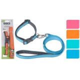 Collier pour Chien en Nylon Avec Laisse Maroc