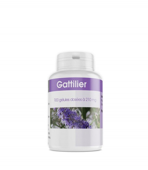 gph-diffusion-gattilier-100-gelules-maroc