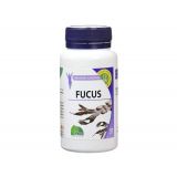 mgd-nature-fucus-120-gelules-maroc