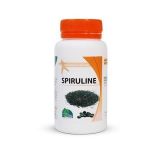 spiruline Maroc